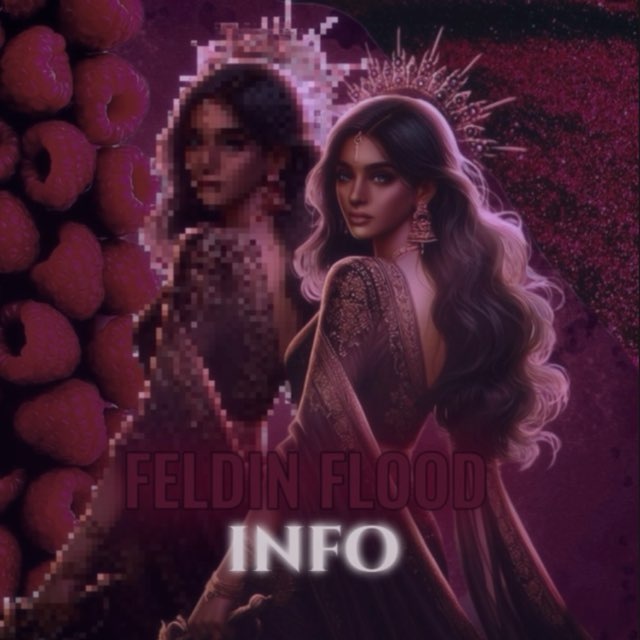 𓆩FELDIN FLOOD𓆪 info