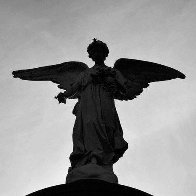 Fallen Angel 🇬🇪
