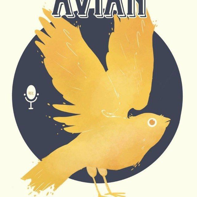 💠/Avian Audiocast/💠