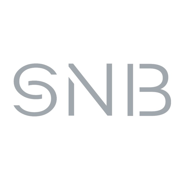 snb_expert