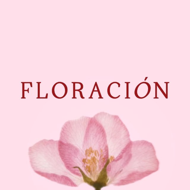Моё по природе 🕊️ Floración