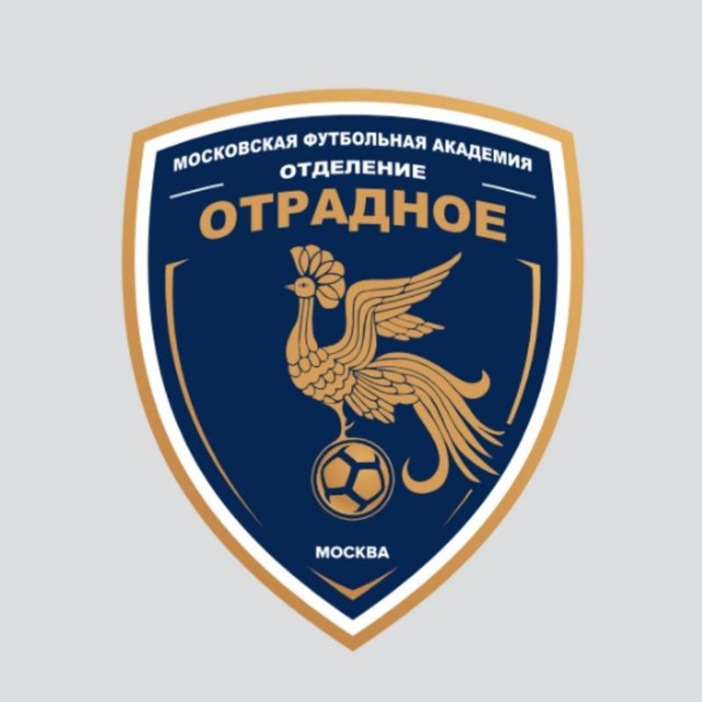 МФА ,,Отрадное'' 2012 г.
