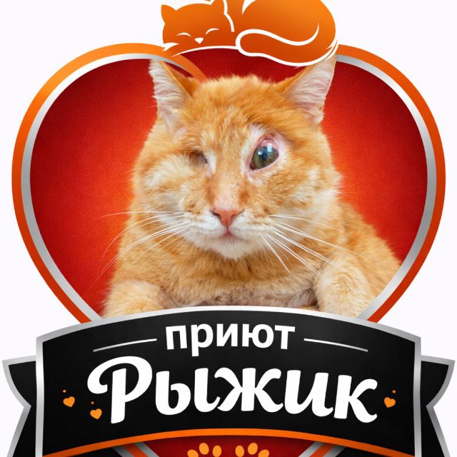«Рыжик»приют Волгоград