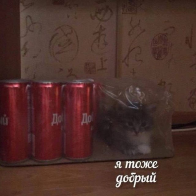 ᴡᴇᴀᴋɴᴇꜱꜱ ᴏꜰ ʙᴀʀᴅᴀᴋ