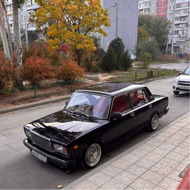 _Shara308_