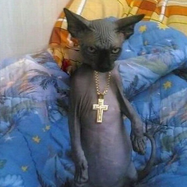 рей