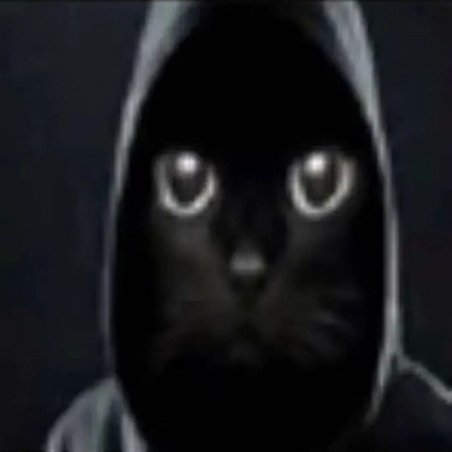 Бар Wammu