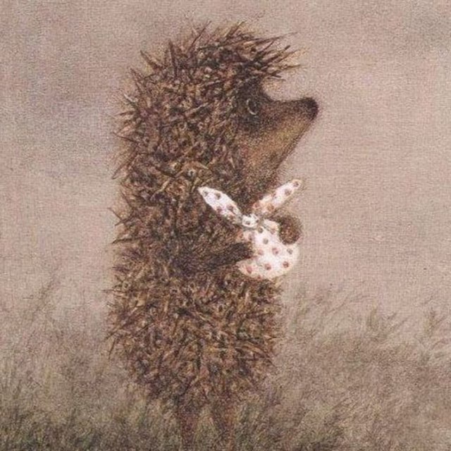 Книжная полка