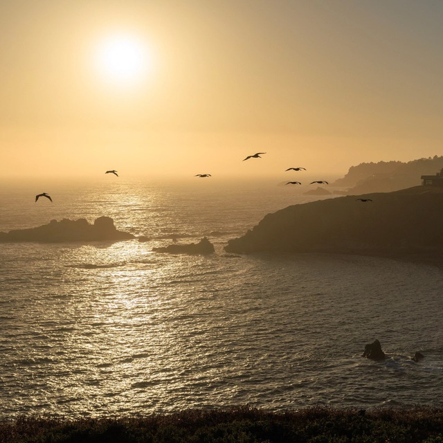 sunset