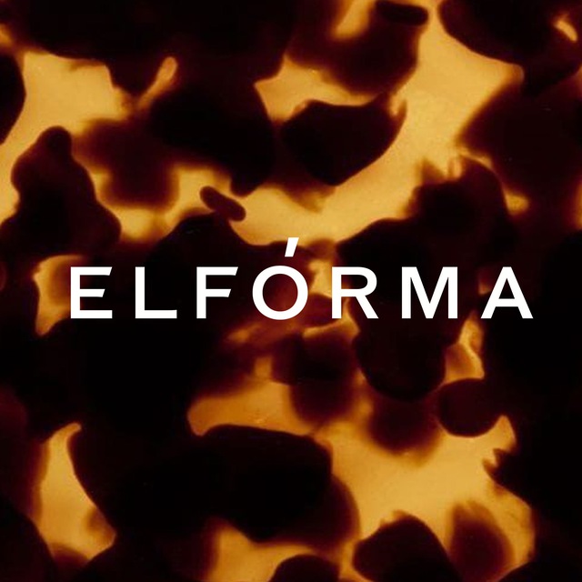 ELFORMA VISION