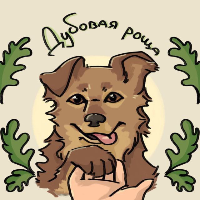 🐾Спасем приют в Дубовой Роще