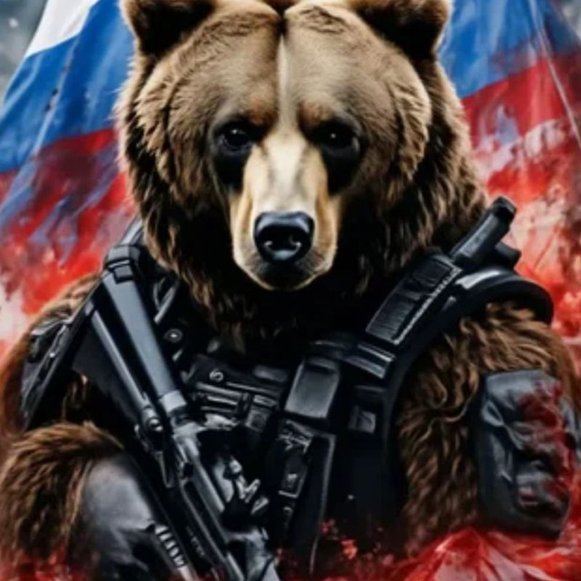 Медведи 🐻 🇷🇺