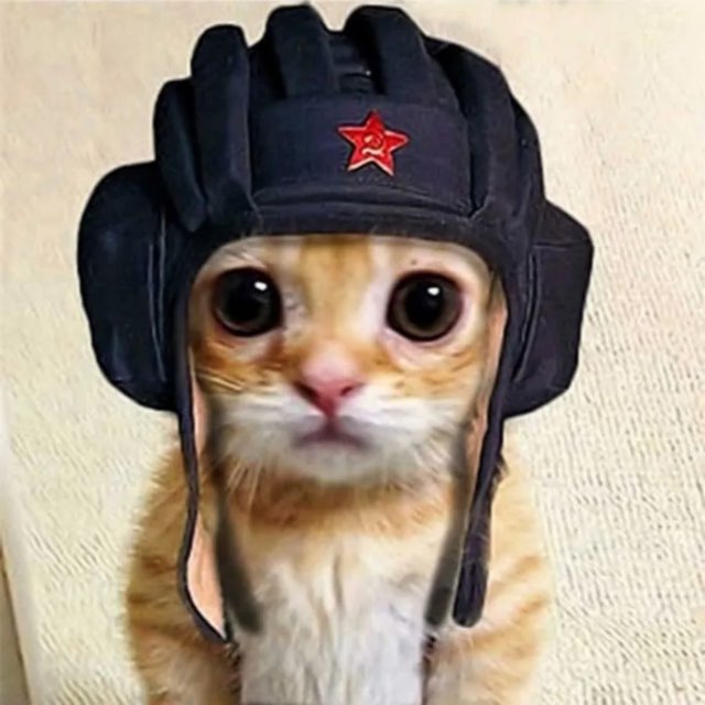 Мемотека