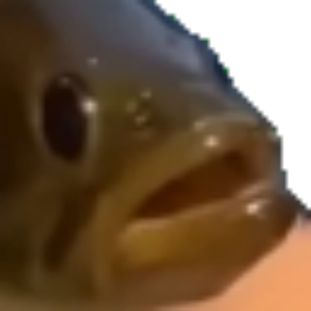 (Forge) Seal world