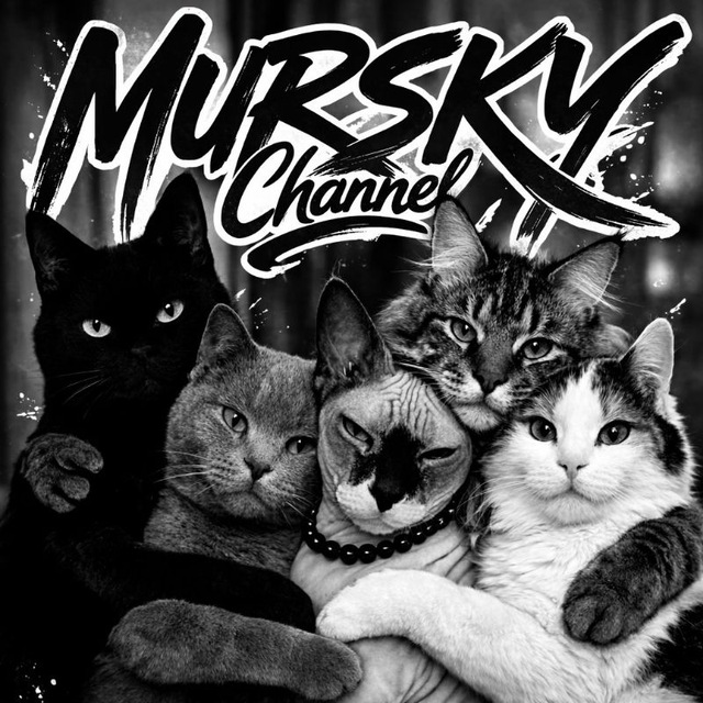 Mursky Info ЗАКРЫТЫ