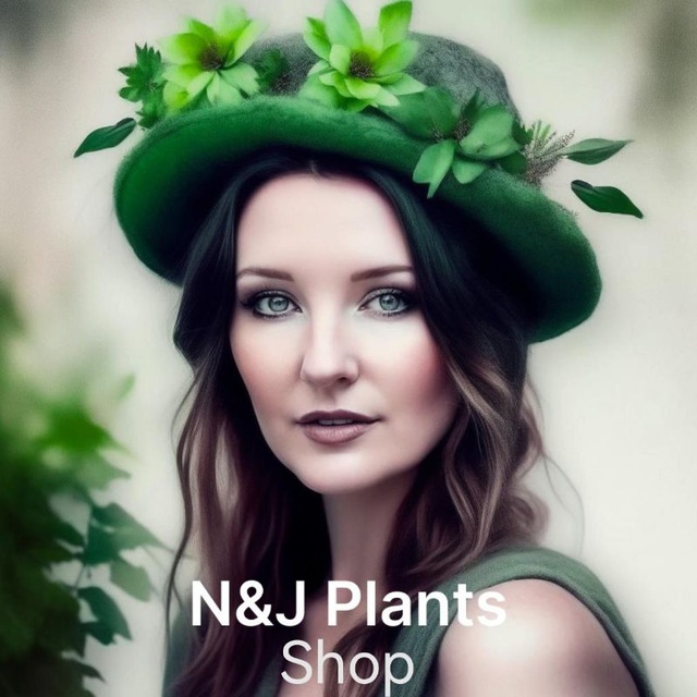 N&J Plants_shop