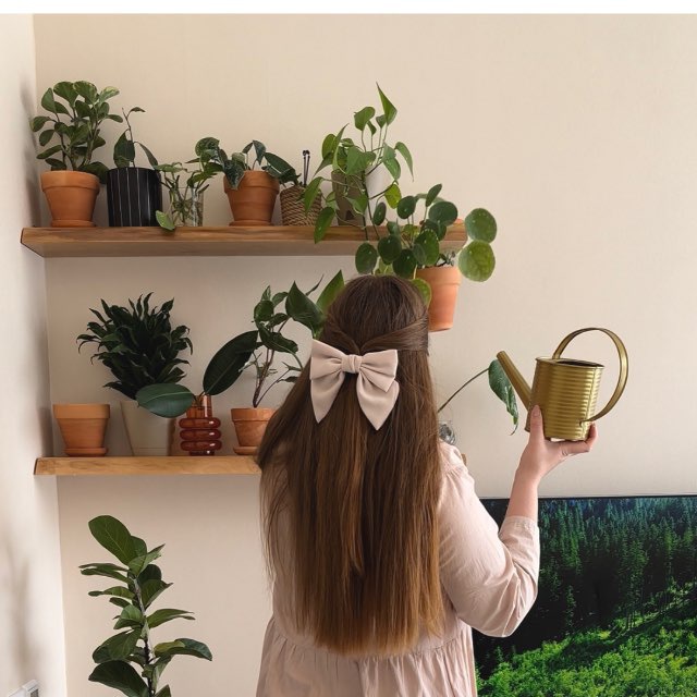 MiaPlants