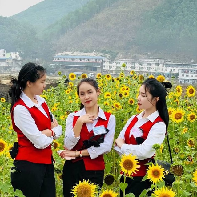 华纳赌场-新加坡赌场