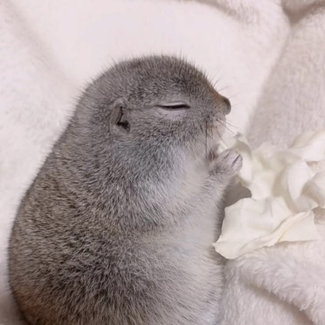 ︎ ︎ ᅠ ︎ ︎ ︎ ︎ ᅠ ︎ ︎ ᅠ