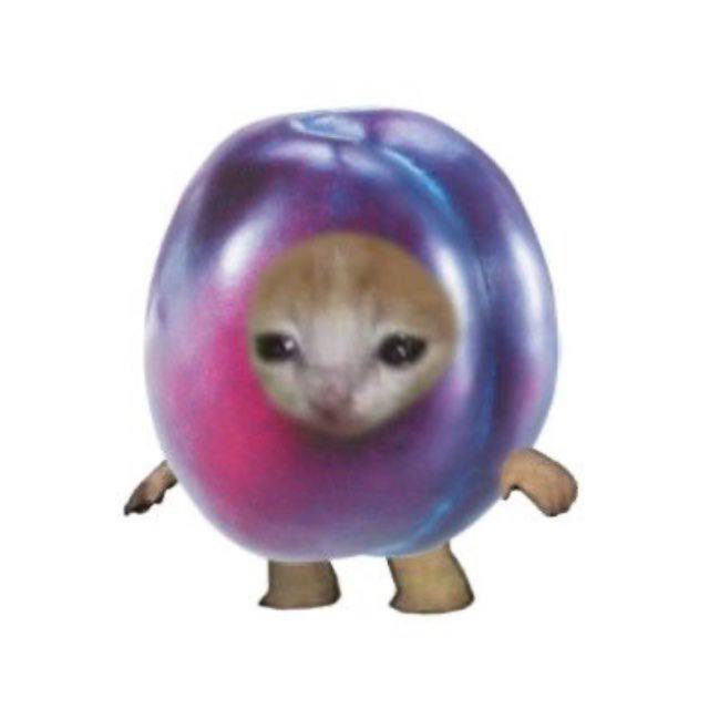 СЛИВАЧ