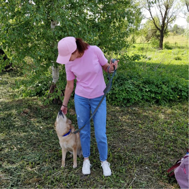 Лена и компания🐶🐈