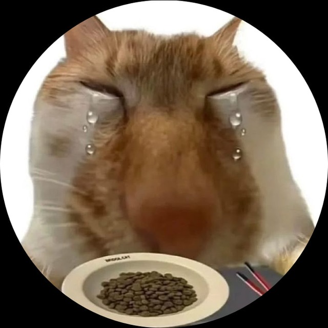 ✶⋆.˚