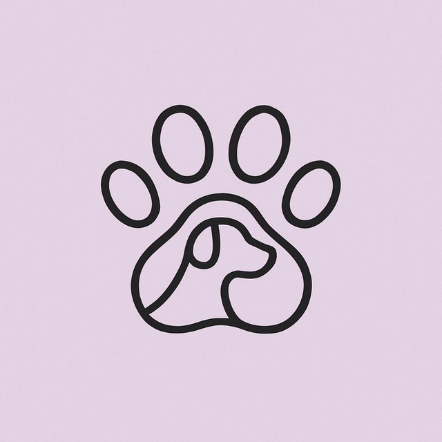 MeetMyPet ✨