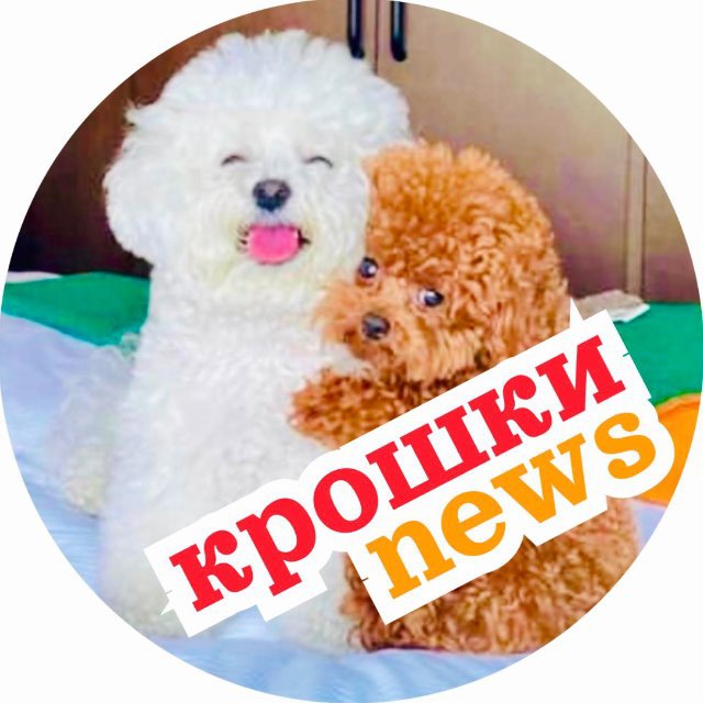 Крошки news