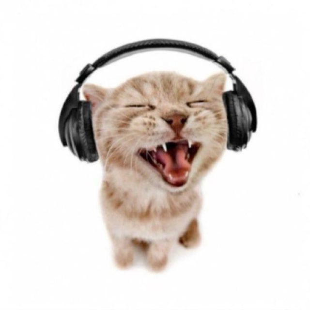Котейка