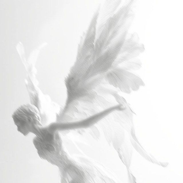 𝘚𝘢𝘭𝘭𝘺'𝘴 𝘪𝘯𝘧𝘰