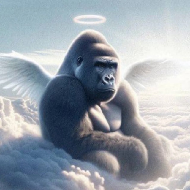 HARAMBE