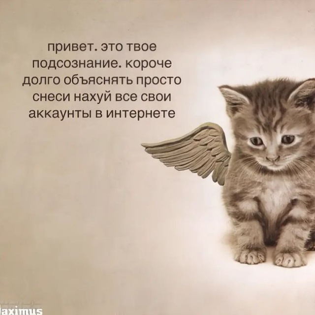 Щп/ Безе жива🔶