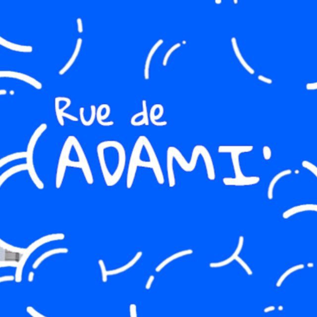 Adami Project