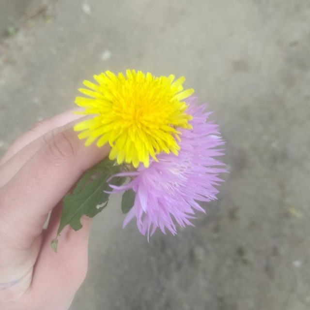 Подземелье Луны ! 🌀