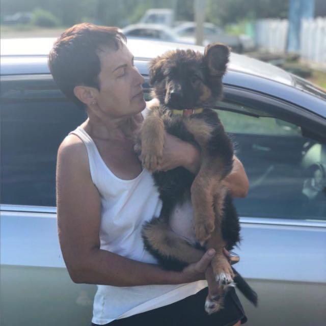 О нас, приют Толстовка.😾🐶