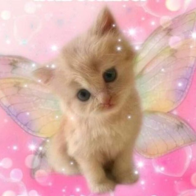 pretty baby