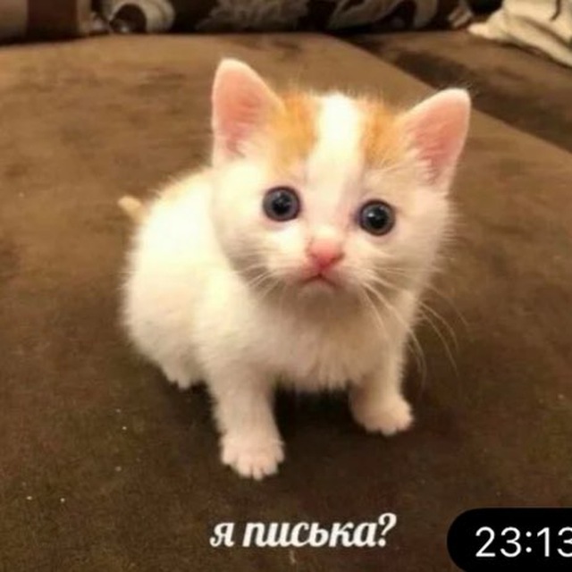 Прайс и отзывы ПОХУДЕНИЕ