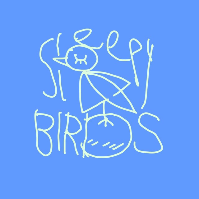 Sleepy Birds