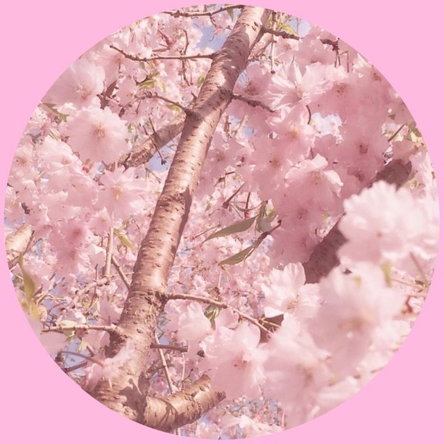 ㅤ°͟ ͟ ⁠⁠⁠,͟ίꬻ̼𝑓ꪮ̼ׄꭉ᧗ᤢׄ𐐼ִ᷼𝘵ίꪮ̼ׄꬻ̼ ᥴ︩︪ჩִִ𐐼ִ᷼ꬻ̼ꬻ̼ᧉ͠ℓ