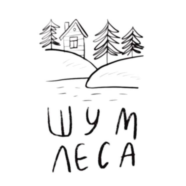 ШУМ ЛЕСА🌳