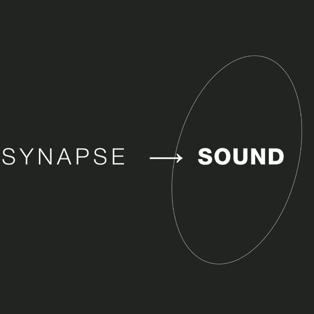 Synapse ⟶ sound