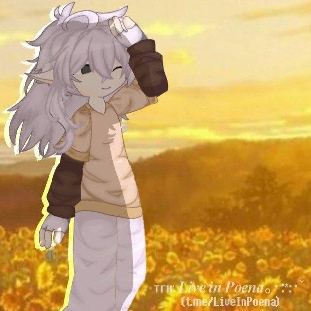 𝑳𝒊𝒗𝒆 𝒊𝒏 𝑷𝒐𝒆𝒏𝒂｡･:*:･ﾟ