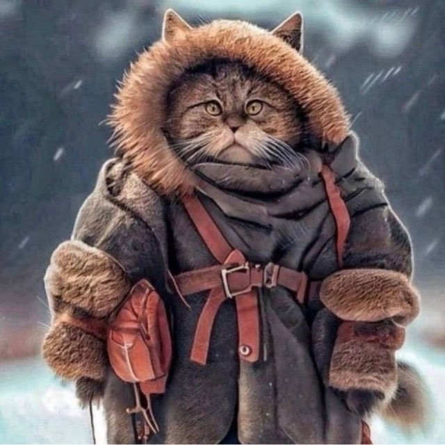 тема возит