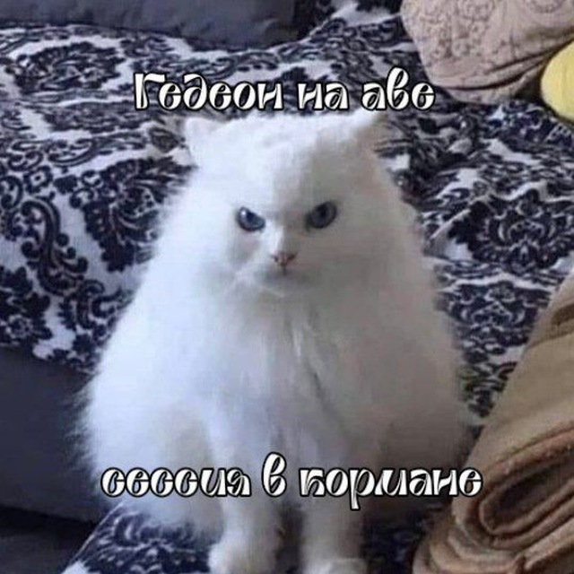 Рест||𝓐𝓭𝓮𝓵 𝓰𝓮𝓭𝓮𝓸𝓷𝓸𝓿𝓷𝓪