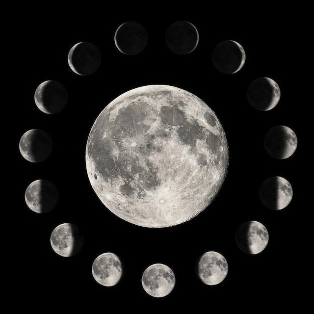 🌔 ◈ 𝐒𝗁𝖺𝖽𝗈𝗐 𝐂𝗈𝖽𝖾 ◈ 🌖