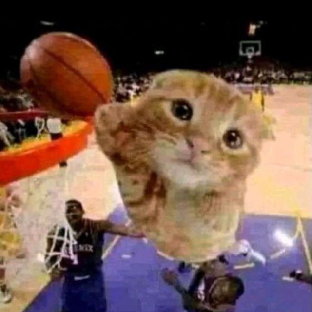 Ложкаа