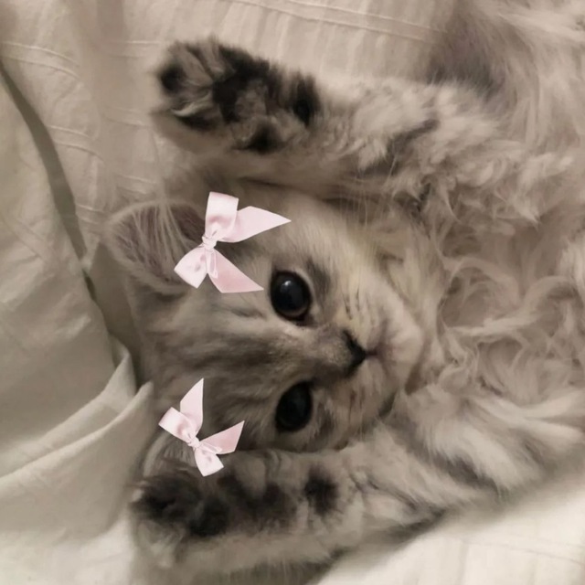 дневник тарелочек🎀