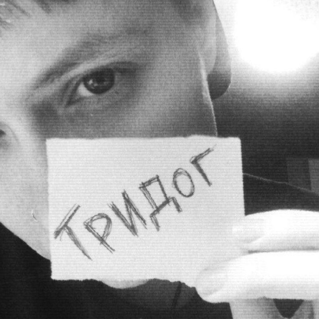 помойка тридог