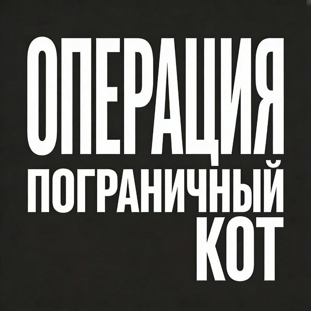 Операция "Пограничный Кот"