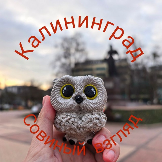 🦉 Калининград: Совиный взгляд 👀